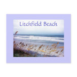 BEACH POSTCARD, Litchfield Beach