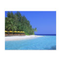 Beach Postcards by wmzstore Beach Postcards