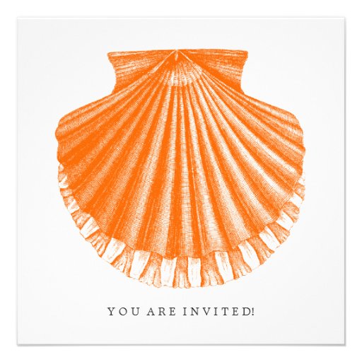Beach Rehearsal Dinner Scallop Shell Orange Invites