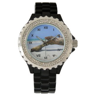 Beach Relic 1 Wrist Watch