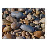 Beach Rocks cards