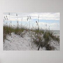 Beach sand dunes landscape print