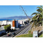 Beach Santa Monica Ocean Photo Cut Out