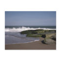 Beach Scene 2 Postcard