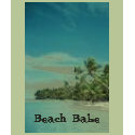 beach scene, Beach Babe t-shirts