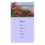beach scene business cards