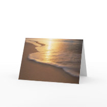 beach scene cards