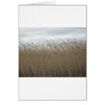 Beach Scene Field Card