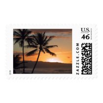 beach scene palm trees postage