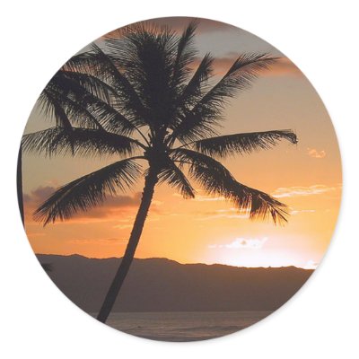 beach scene palm trees sticker by partypassion