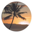 beach scene palm trees stickers