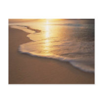 beach scene postcards by partypassion beach scene postcards