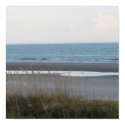 Beach Scene Poster posters