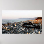 Beach Scene Posters