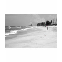 Beach Scene t-shirts by ChileMama Beach Scene t-shirts