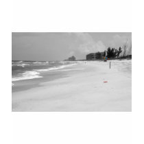 Beach Scene t-shirts by ChileMama Beach Scene t-shirts