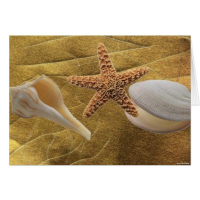Beach - Sea Shell - Card by norman888