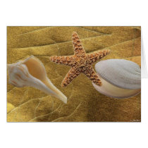 Beach - Sea Shell - Card