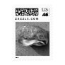 Beach Sea Shell Sand Beach Photo Postage Stamp