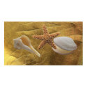 Beach - Sea Shells Poster posters