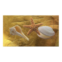 Beach - Sea Shells Poster posters by norman888 Beach - Sea Shells Poster posters