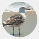 Beach Seagull Stickers