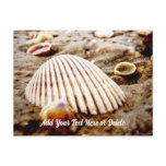 Beach Seashells at Krabi Thailand, Postcard