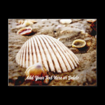 Beach Seashells at Krabi Thailand, Postcard