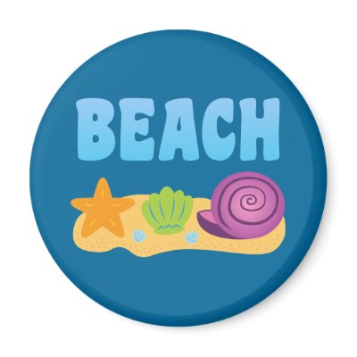 Beach Seashells Fridge Magnets by toxiferous
