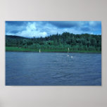 Beach Seine Used for Subsistence Fishing posters