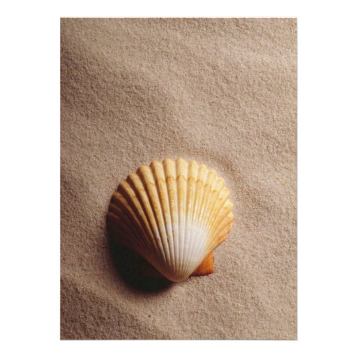 Beach Serenity with Photo Invitation