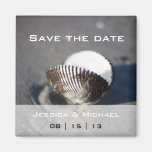Beach Shell Wedding Save the Date Magnet magnets