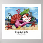 Beach Shells Print - Customized