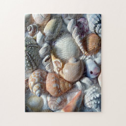 Beach Shells Tan and White Puzzle