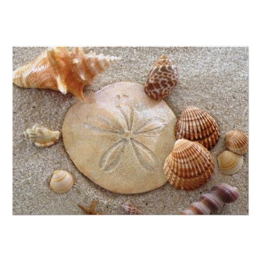 Beach Shells Theme Wedding Invitation