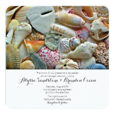   Beach Shells Tropical Designer Wedding Stationery 5.25