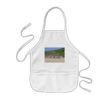 Beach Stairs aprons