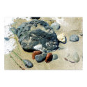 Beach Still Life As Painting posters by dma847 Beach Still Life As Painting posters