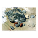 beach still life posters by dma847 beach still life posters