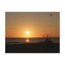 Beach Sunrise postcards by Statikclothing Beach Sunrise postcards