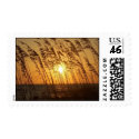 beach sunset postage