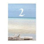 Beach Table Number Wedding Postcard