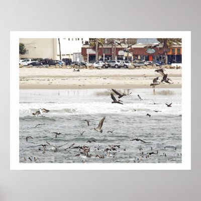 Beach Town Pelicans Print by farmer77