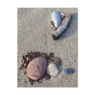 Beach Treasures Postcard postcard