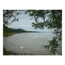 Beach Tree Frame Announcements