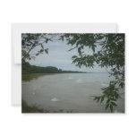 Beach Tree Frame Announcements