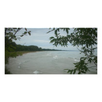 Beach Tree Frame photo cards by KatsEyes Beach Tree Frame photo cards
