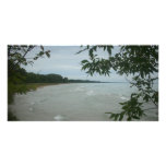 Beach Tree Frame Custom Photo Card