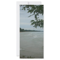 Beach Tree Frame rack cards by KatsEyes Beach Tree Frame rack cards