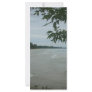 Beach Tree Frame Rack Cards